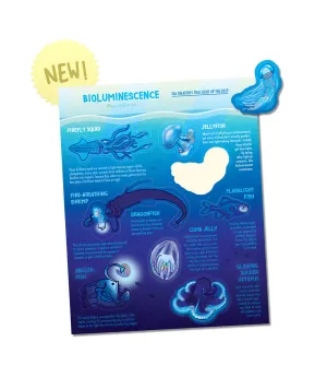 Bioluminescence Holographic Sticker Sheet