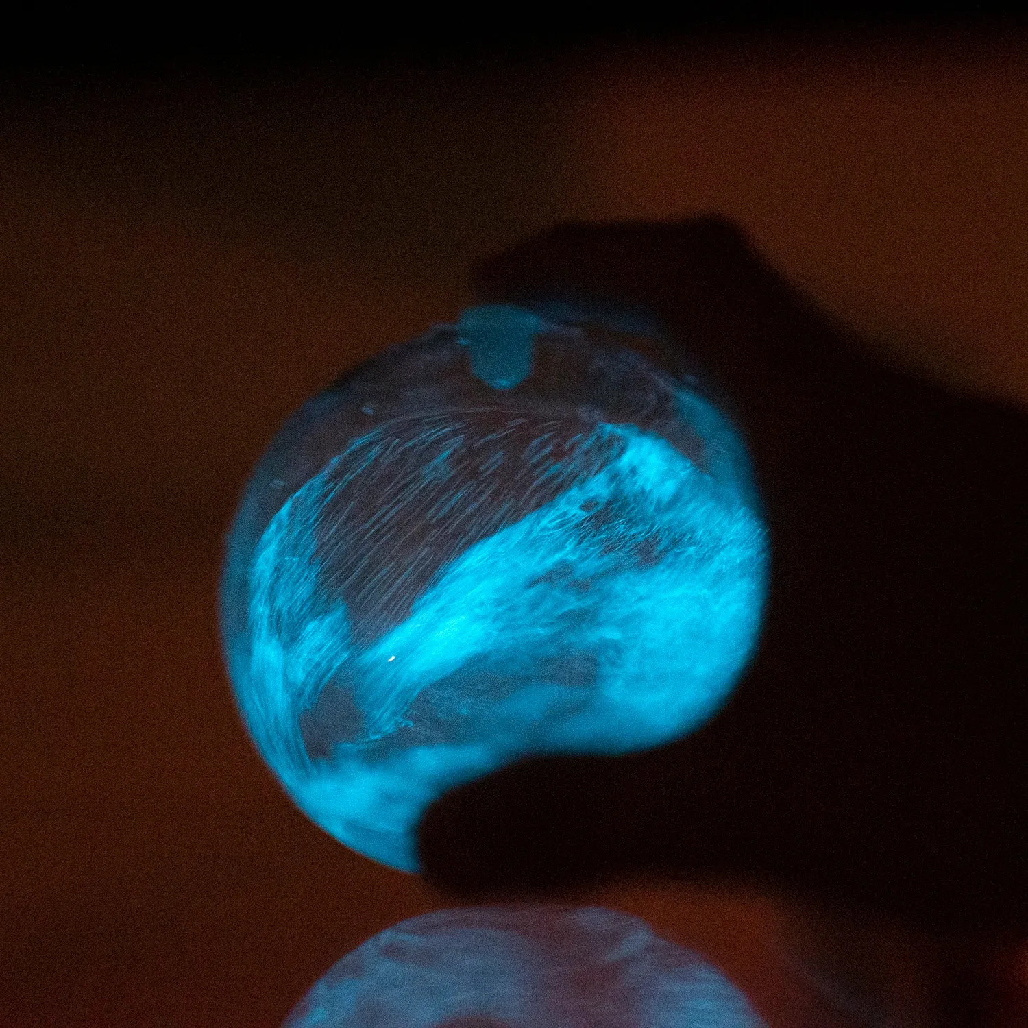 Bioluminescent Bio-Orb Gift Option