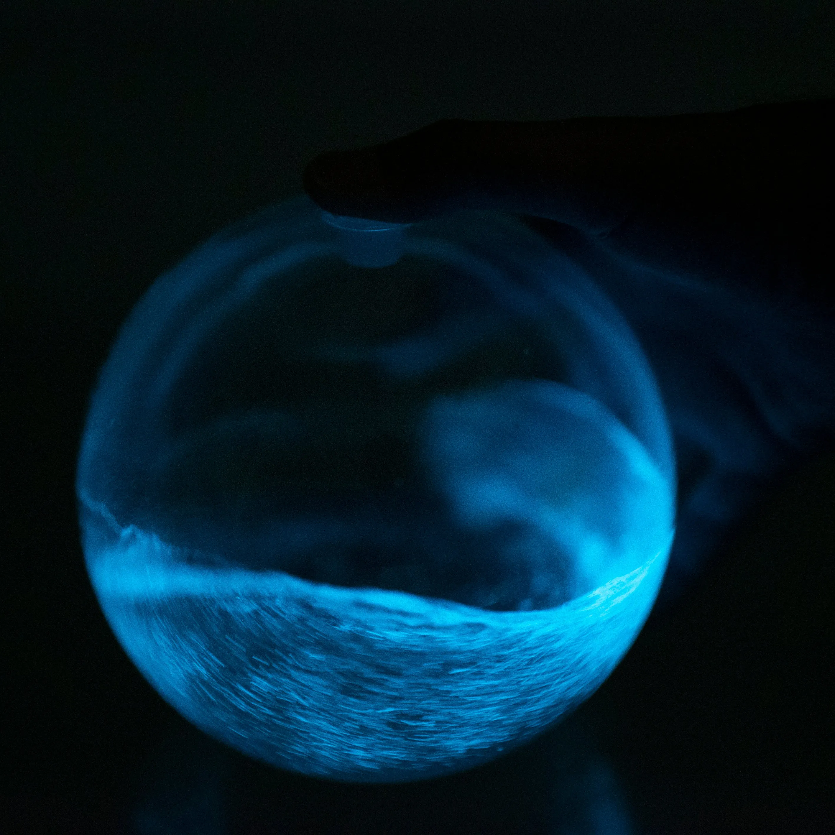 Bioluminescent Bio-Orb (Large)