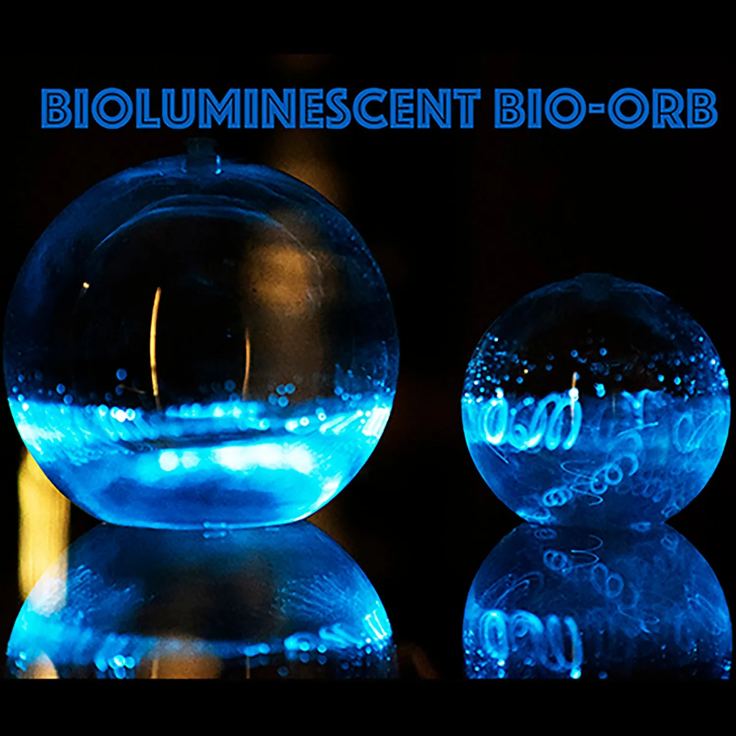 Bioluminescent Bio-Orb (Large)