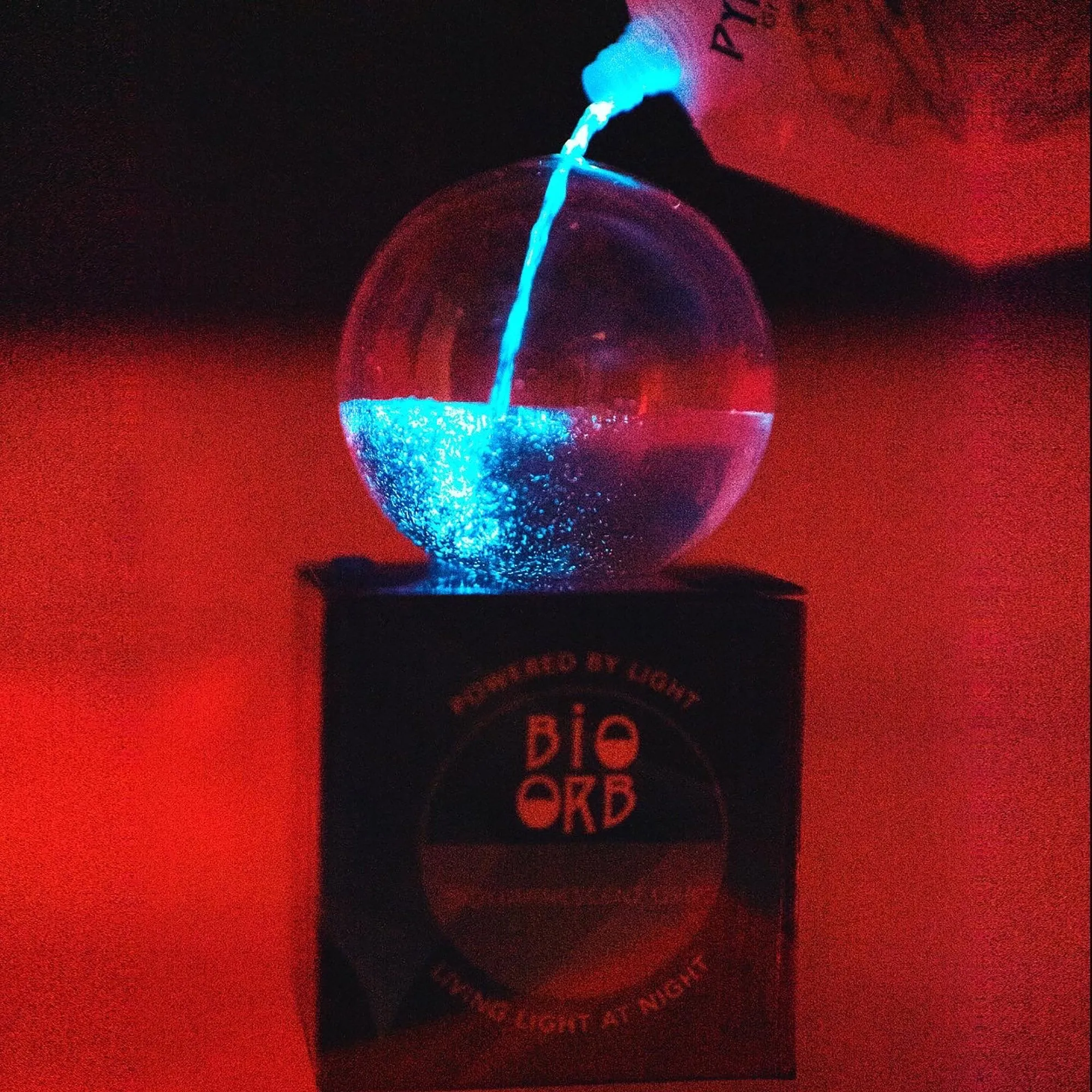 Bioluminescent Bio-Orb