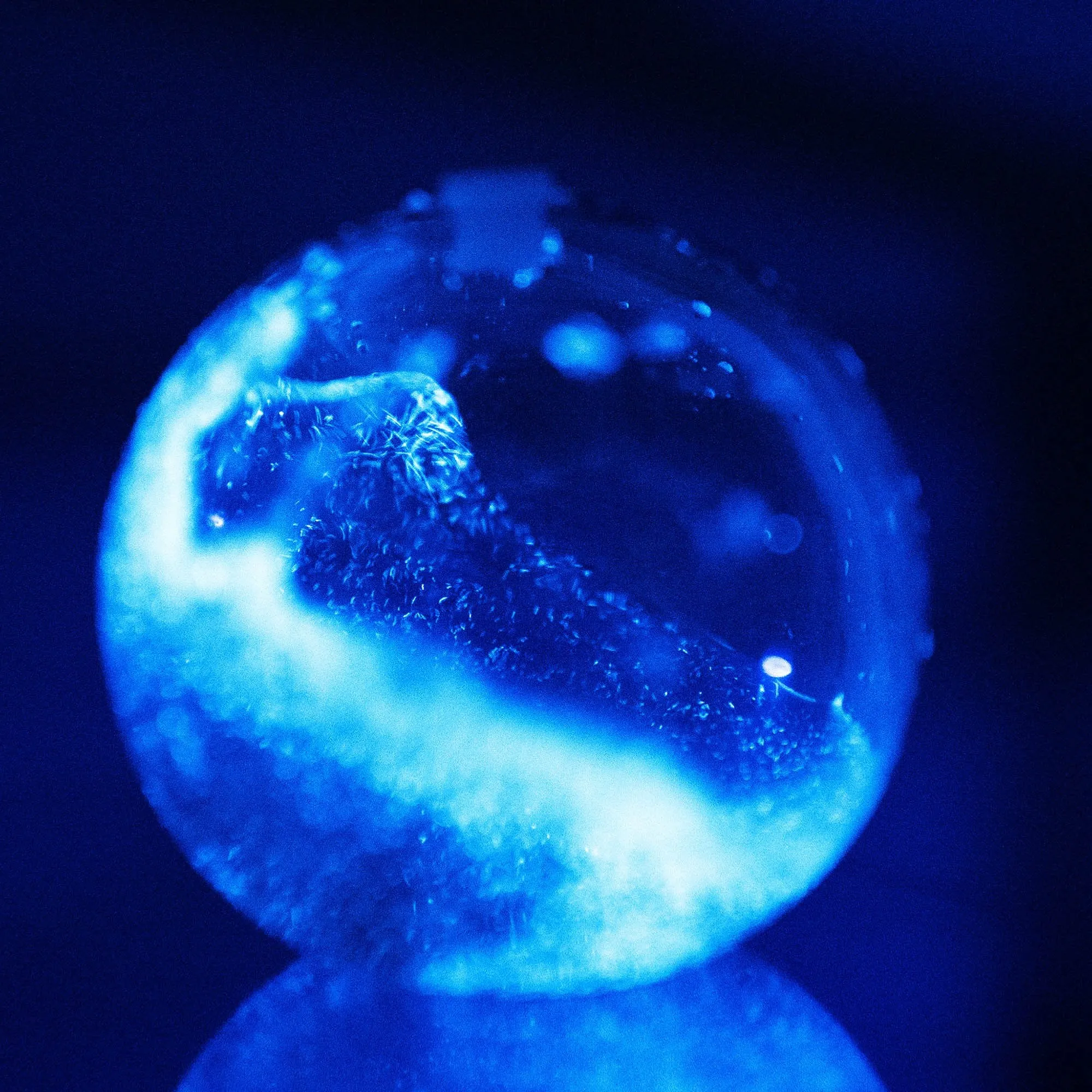 Bioluminescent Bio-Orb