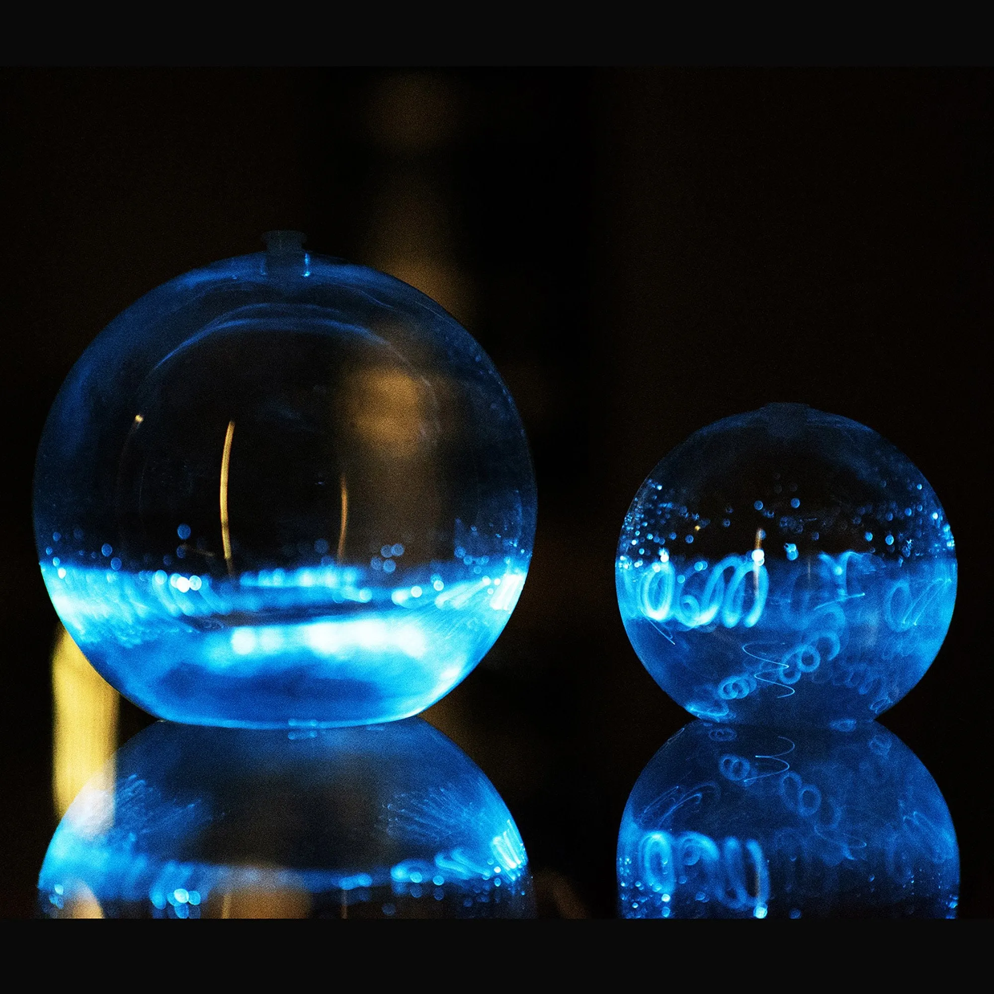 Bioluminescent Bio-Orb