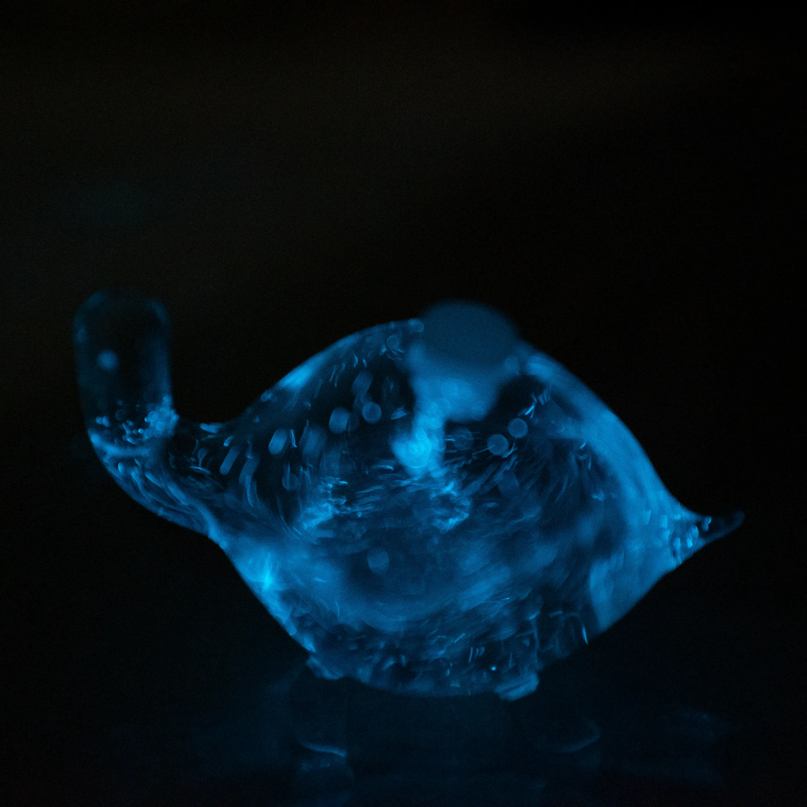 Bioluminescent Bio-Turtle