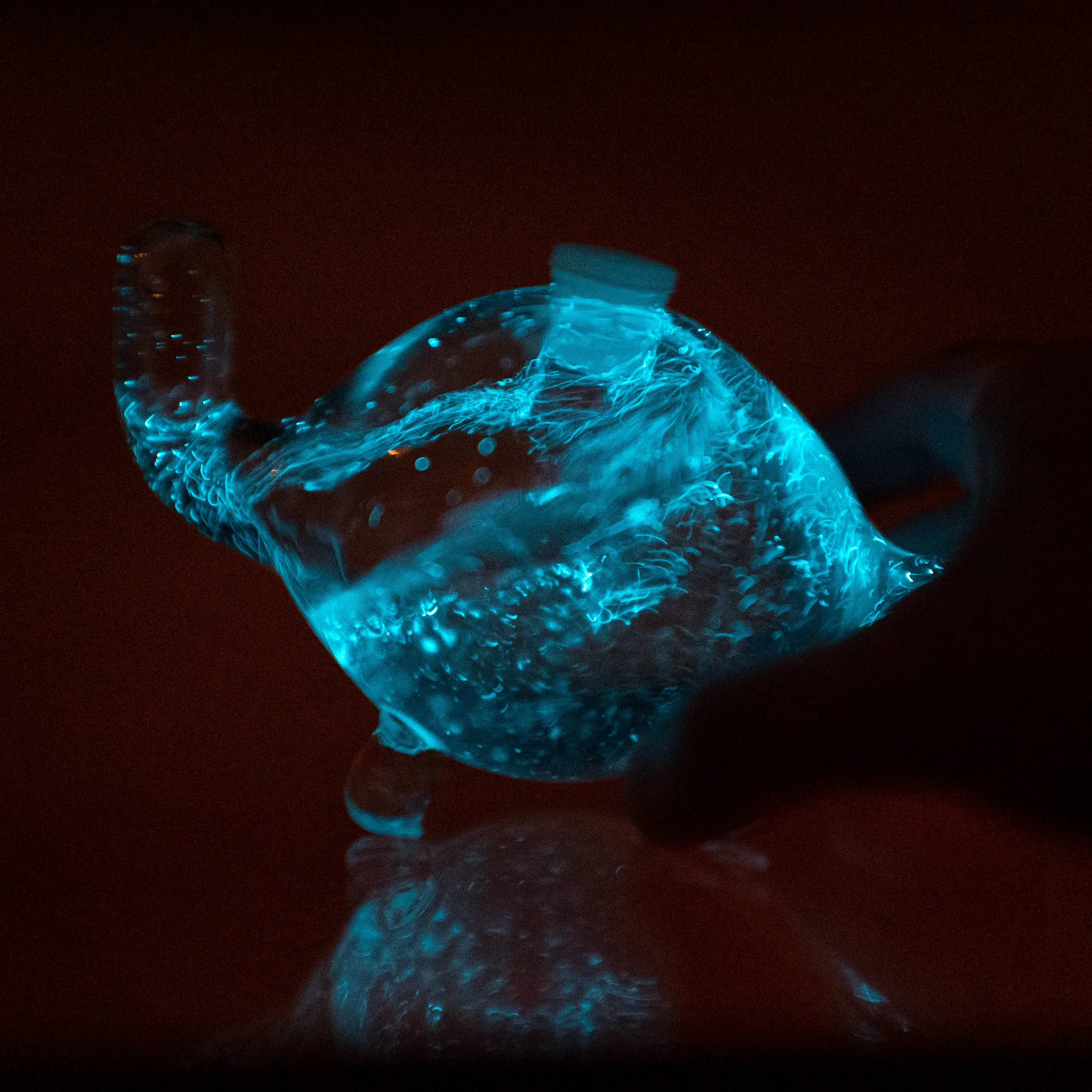 Bioluminescent Bio-Turtle