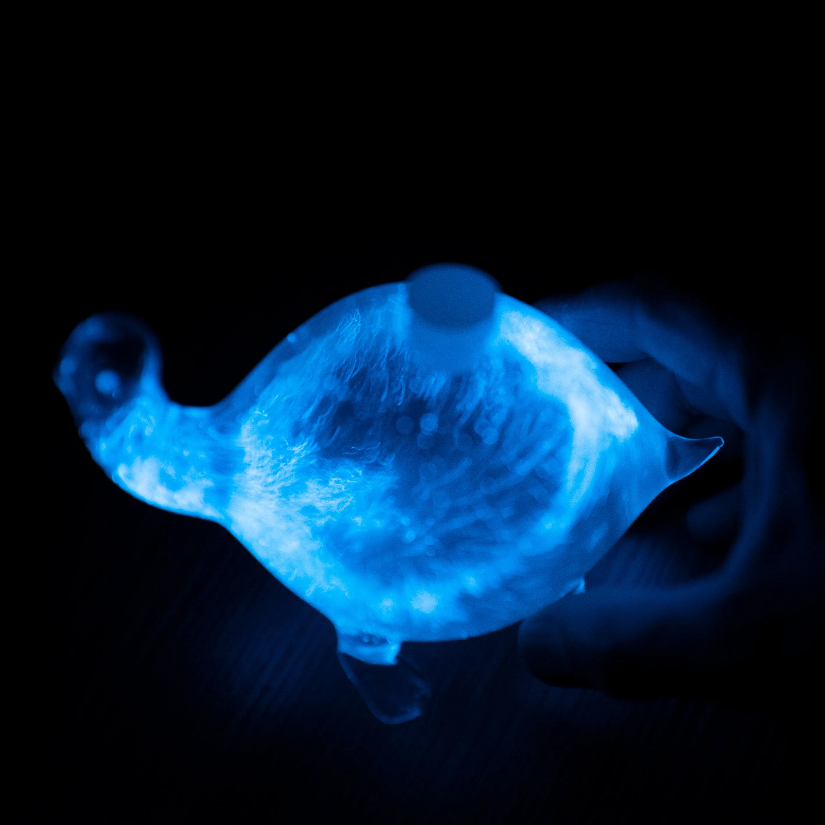 Bioluminescent Bio-Turtle