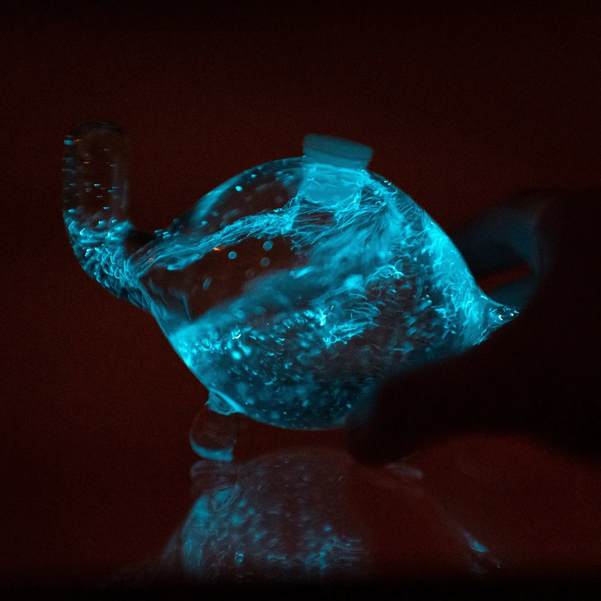 Bioluminescent Bio Turtle