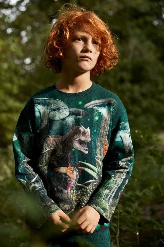 Boys Tops | Sweatshirt- Mountoo Night Forest | Molo