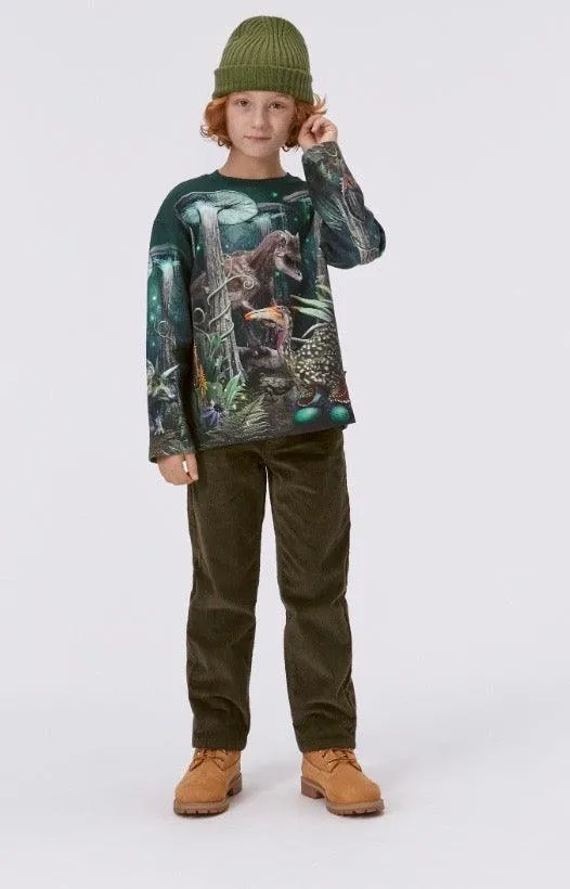 Boys Tops | Sweatshirt- Mountoo Night Forest | Molo