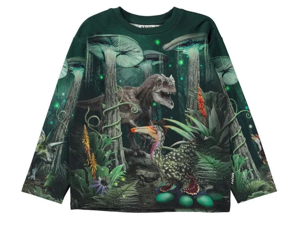 Boys Tops | Sweatshirt- Mountoo Night Forest | Molo