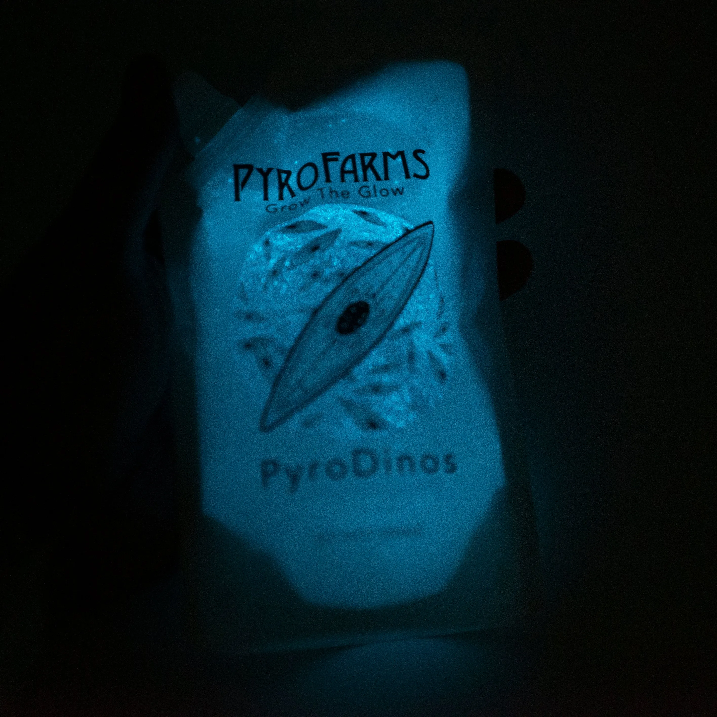 PyroDinos <Bioluminescent Dinoflagellates>